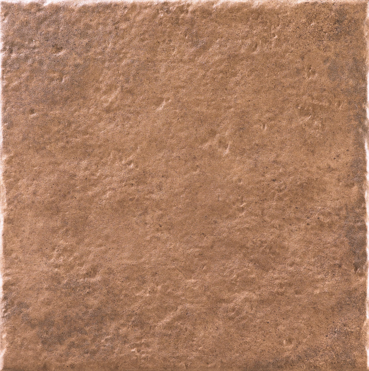 333332-Coralia.jpg