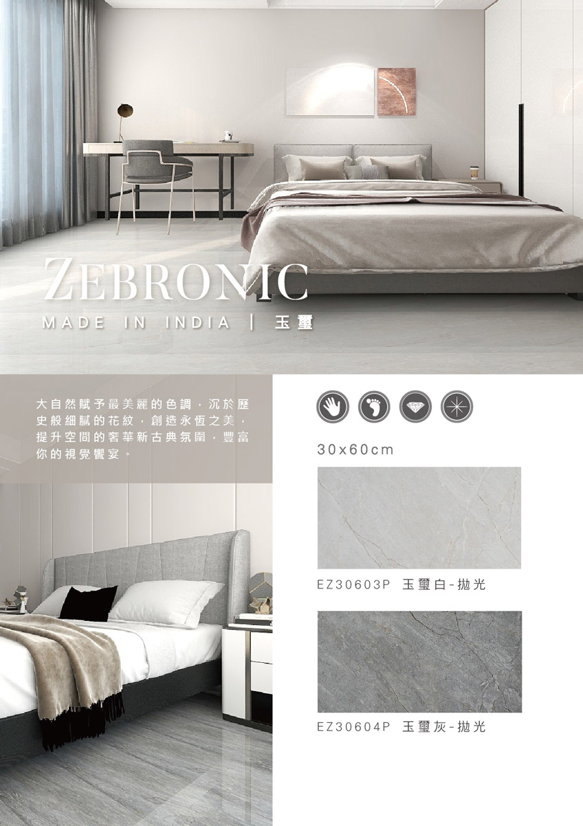 zebronic-s-21.jpg